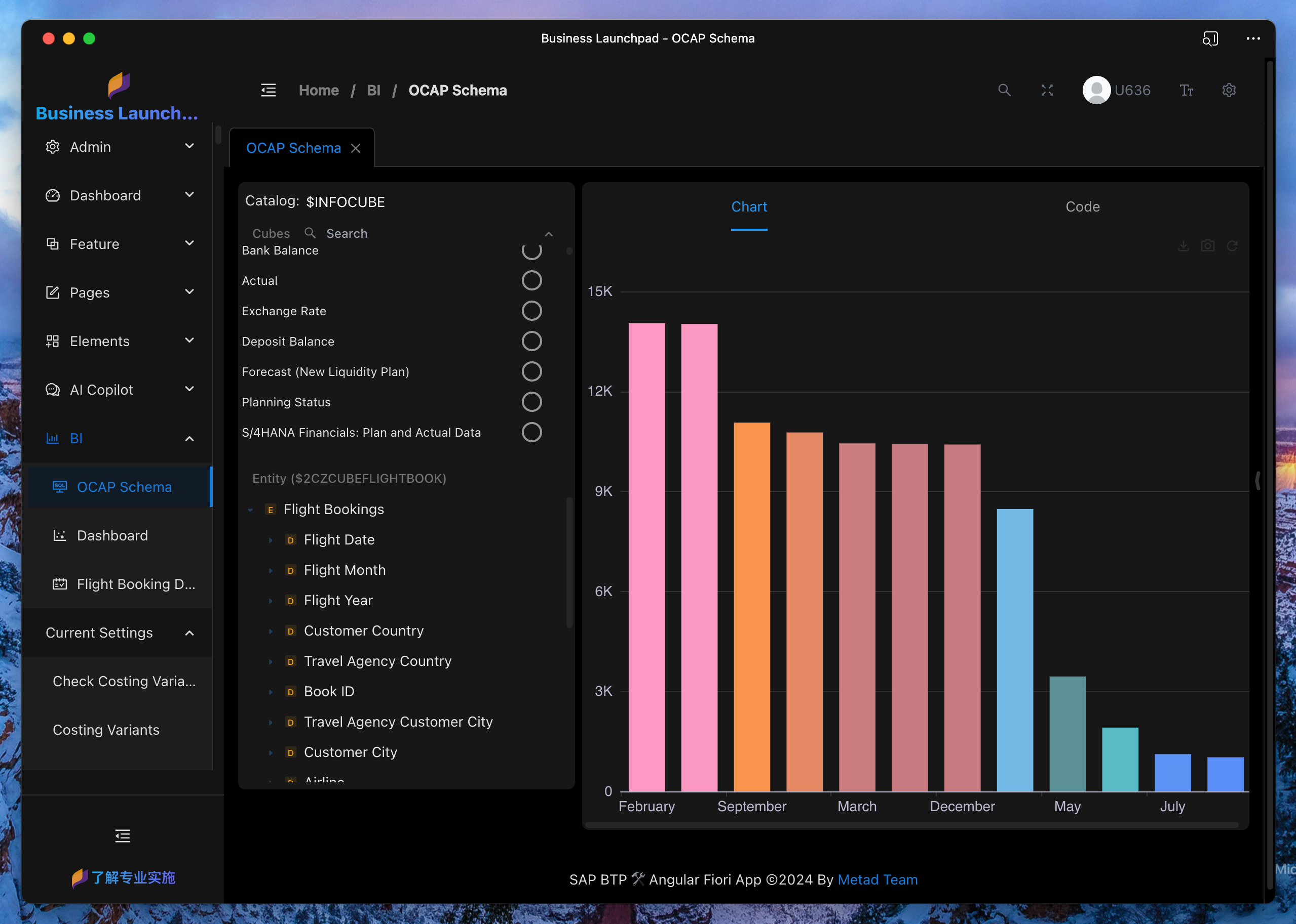 Embedded BI Schema